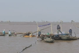 Tìm thấy thi thể thứ 2 vụ lật thuyền chở ngao ở Thái Bình