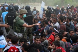 Người di cư chờ đợi tại thị trấn biên giới Idomeni, miền Bắc Hy Lạp để được làm thủ tục nhập cảnh vào Macedonia ngày 7/9. (Ảnh: AFP/TTXVN)