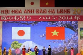 Sắp tổ chức Lễ hội hoa Anh đào Hạ Long 2015 tại Quảng Ninh 