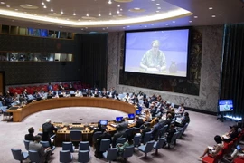 Toàn cảnh cuộc họp HĐBA LHQ về tình hình Nam Sudan ở New York, Mỹ ngày 25/8 vừa qua. (Ảnh: AFP/TTXVN)