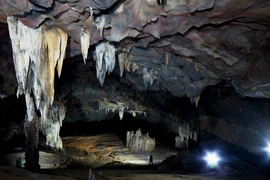 Trần hang rộng lớn và những thạch nhủ lung linh ở hang Va-hang Nước Nứt. (Ảnh: Hi Trang/Vietnam+) 