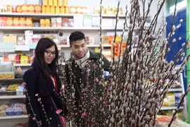 Người Việt tại London vui sắm Tết Nguyên đán Ất Mùi 2015