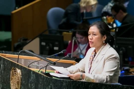 Việt Nam tham dự khóa họp lần thứ 53 của ECOSOC