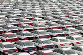 Ảnh minh họa. (Nguồn: EPA/TTXVN)