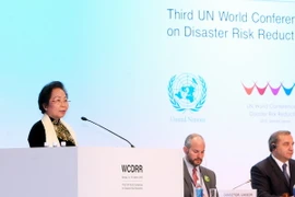 Phó Chủ tịch nước phát biểu tại hội nghị về giảm thiểu rủi ro