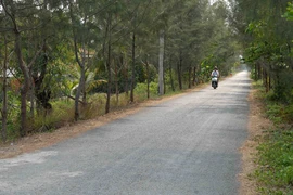 Đường giao thông nông thôn tại Xã Tân Nhựt, xã nông thôn mới của huyện Bình Chánh. (Ảnh: Mạnh Linh/TTXVN)