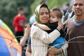 Người di cư tại khu vực biên giới Macedonia-Hy Lạp ngày 22/8 vừa qua. (Ảnh: AFP/TTXVN)