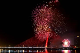 Đại diện 5 châu lục dự thi bắn pháo hoa quốc tế Đà Nẵng