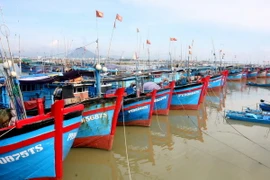 Hàng nghìn tàu cá ở Cà Mau đồng loạt ra khơi bám biển