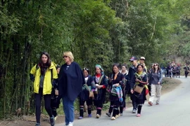 Chưa áp dụng mức thu phí visa mới với du khách nước ngoài