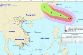 Chùm ảnh đường đi và vị trí cơn bão. (Nguồn: nchmf.gov.vn)