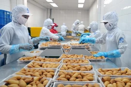 TP Hồ Chí Minh: Xuất khẩu ước đạt 6,24 tỷ USD trong quý 1