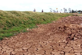 Phó Thủ tướng chỉ đạo phòng, chống hạn hán tại Ninh Thuận