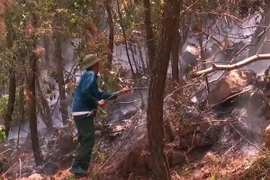 Một số điểm cháy cơ bản đã được khống chế. (Ảnh: TTXVN)