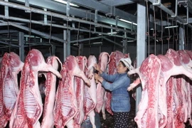 Giết mổ gia súc tại Trung tâm giết mổ gia súc Đà Sơn, quận Liên Chiểu, Đà Nẵng. (Ảnh: Đình Huệ/TTXVN)