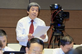 Đại biểu Hà Minh Huệ, tỉnh Bình Thuận phát biểu ý kiến. (Ảnh: An Đăng/TTXVN)