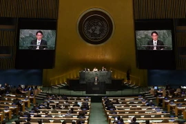 Việt Nam cam kết thực hiện nghiêm các quy định Hiệp ước NPT