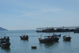 Tàu cá neo đậu. (Ảnh: Nguyên Lý/TTXVN)