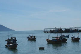 (Ảnh minh họa: Nguyên Lý/ TTXVN)