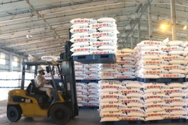 Vận chuyển urê hạt đục trong kho của nhà máy đạm Cà Mau để chuẩn bị đưa ra thị trường tiêu thụ. (Ảnh: Kim Há/TTXVN)