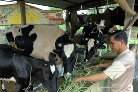 Hướng tới xây dựng chương trình giảm nghèo bền vững, hiệu quả