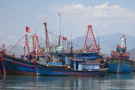 (Ảnh minh họa: Nguyên Lý/TTXVN)