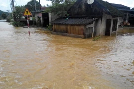 (Ảnh minh họa: Nguyễn Công Hải/ Lai Châu)