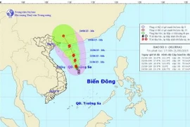 Chùm ảnh đường đi và vị trí cơn bão. (Nguồn: nchmf.gov.vn)