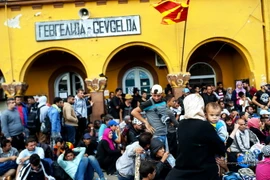 Một nhóm người di cư đợi cảnh sát Macedonia cho phép lên tàu hỏa tại nhà ga ở Gevgelija,Macedonia ngày 21/8. (Ảnh: AFP/TTXVN)