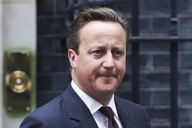Thủ tướng Anh David Cameron. (Ảnh: AFP/TTXVN)