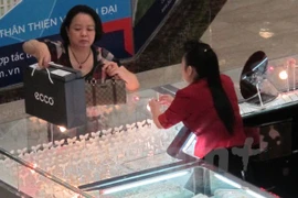 Ảnh minh họa. (Ảnh: T.H/Vietnam+)