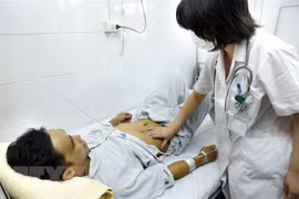 Ảnh chỉ mang tính minh họa. (Ảnh: Dương Ngọc/TTXVN)
