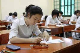 Ảnh minh họa (Nguồn: TTXVN)