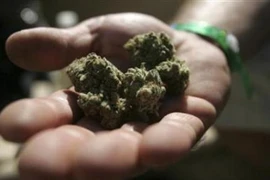 Ảnh minh họa. (Nguồn: Reuters)