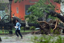 LHQ: Số người chết vì bão Haiyan ở Philippines còn tăng