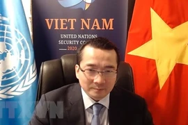 Đại sứ Phạm Hải Anh, Đại biện lâm thời Việt Nam tại Liên hợp quốc. (Ảnh: Khắc Hiếu/TTXVN)