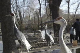 Ảnh chỉ có tính minh họa. (Nguồn: TeleTrader)