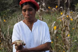Ảnh chỉ có tính minh họa. (Nguồn: World Food Program)