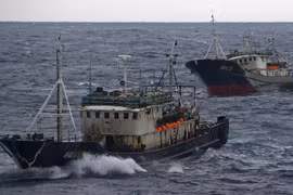 Ảnh chỉ có tính minh họa. (Nguồn: Al Jazeera)