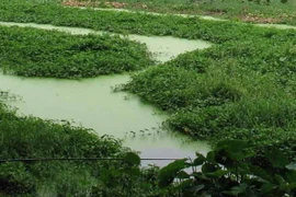 Hưng Yên: 209 trẻ em ở làng nghề Đông Mai bị phơi nhiễm chì