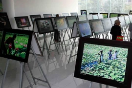 (Ảnh minh họa: Thanh Tùng/TTXVN)