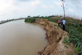 Tàu trọng tải lớn "nắn dòng" sông Cầu, đất canh tác bị cuốn trôi