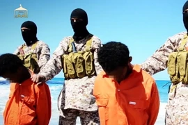 SOHR: Phiến quân IS hành quyết ít nhất 26 người ở Syria