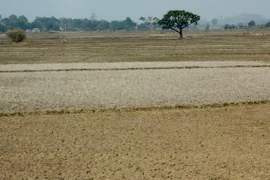 Cứu trợ khẩn cấp người dân 4 tỉnh miền Trung bị hạn hán