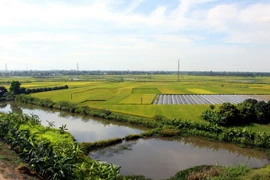 Thủ tướng chỉ thị lập kế hoạch sử dụng đất 2016-2020 cấp quốc gia