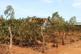 Vùng miền núi Bắc Bộ có mưa to, Trung Bộ duy trì nắng nóng