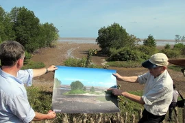 Cố vấn trưởng Dự án GIZ tại Sóc Trăng báo cáo với đoàn về hiệu quả rào tre chắn sóng ven biển Sóc Trăng. (Ảnh: Trung Hiếu/TTXVN)