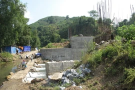 (Ảnh minh họa: Nguyễn Trình/TTXVN)