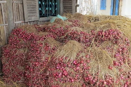 Thông tin người dân bị mù do hóa chất bảo quản hành tím là sai