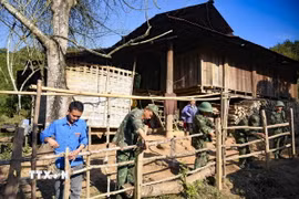 Ảnh minh họa: (Nguồn: TTXVN)